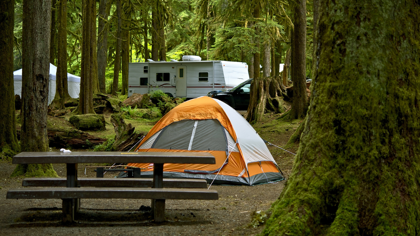 Tent and camper at a forest campsite among tall trees